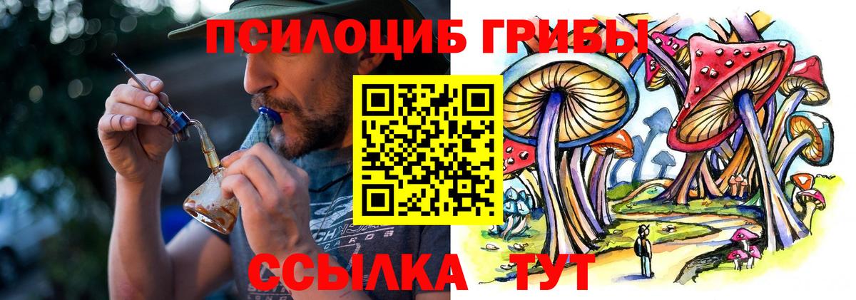 Псилоцибиновые грибы Magic Shrooms  Вход с VPN  Кызыл 