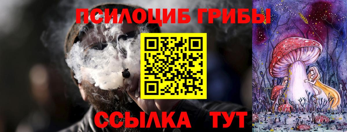 Псилоцибиновые грибы Magic Shrooms Кызыл